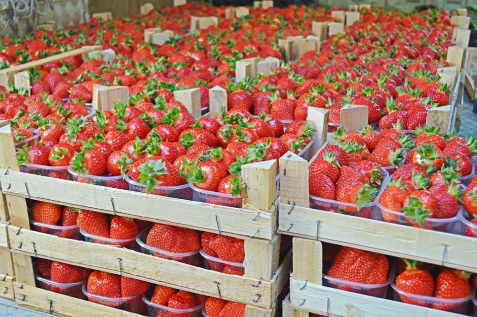 Agriturismo La Ruota Montelupo Albese Ngoại thất bức ảnh